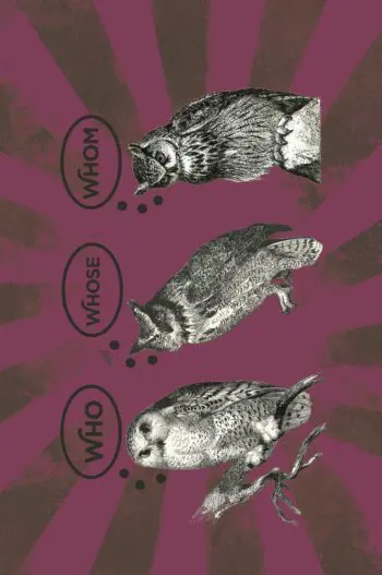 Astute Owls Who? Whose? Whom? Notebook (6x9 Lined Spiral Bound)