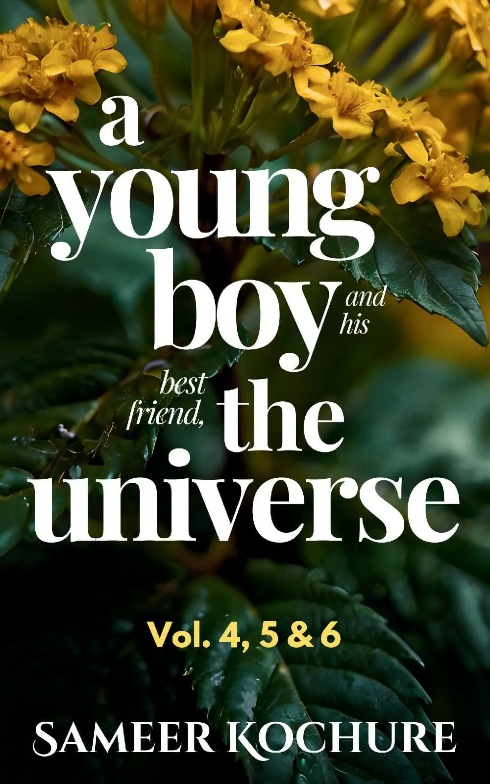 A Young Boy And His Best Friend The Universe. Vol. 4, 5 & 6