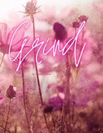 Decorative Books- Grind Flowers