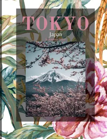 Decorative Books- Tokyo Pink