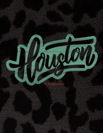 Decorative Book- Houston Black and Green