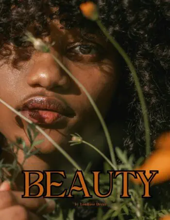 Decorative Book- Beauty Brown Yellow