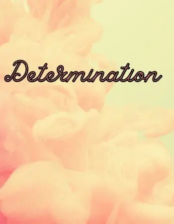 Decorative Books- Determination Light Pink