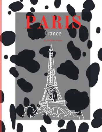 Decorative Book- Black White Dalmatian Print
