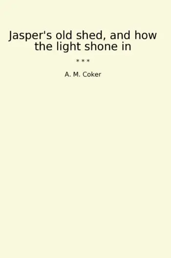 Jasper's old shed, and how the light shone in