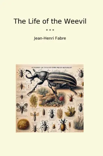 The Life of the Weevil