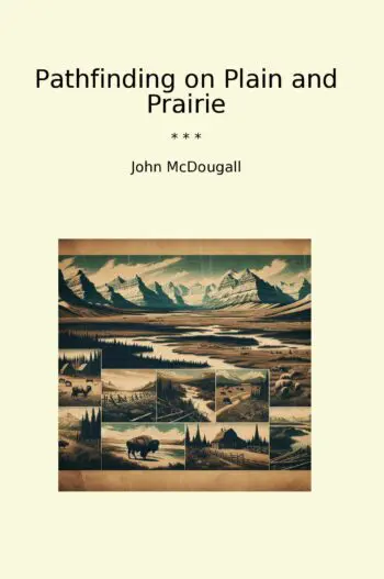 Pathfinding on Plain and Prairie