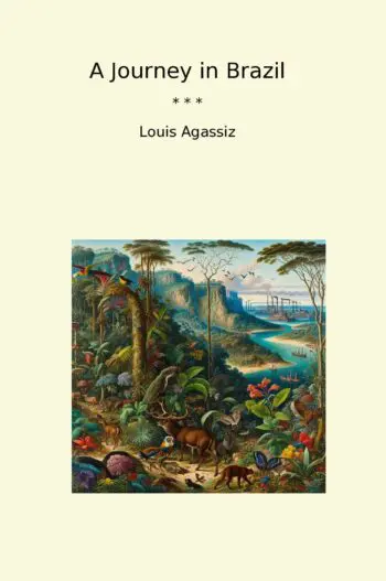 A Journey in Brazil