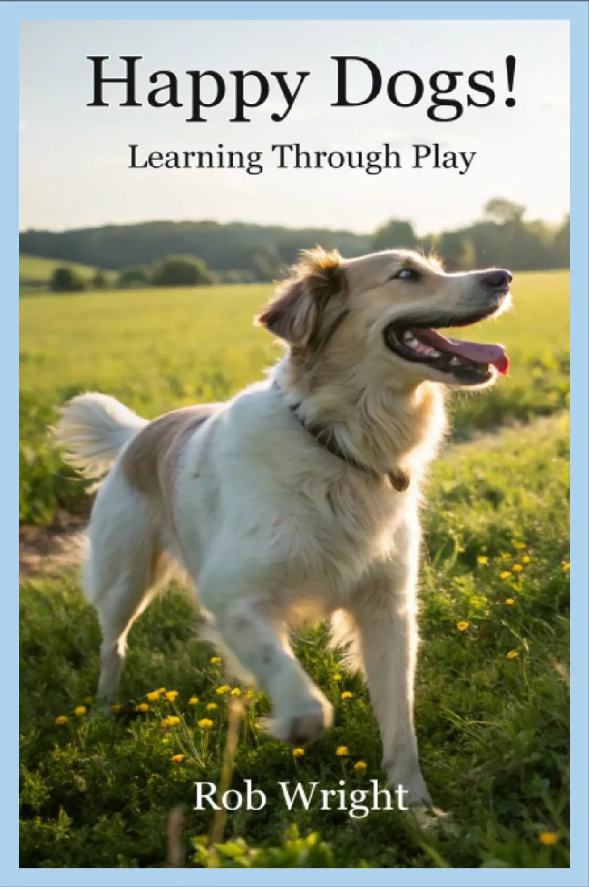 Happy Dogs! Learning Through Play