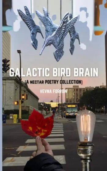 Galactic Bird Brain [A Poetry Collection]