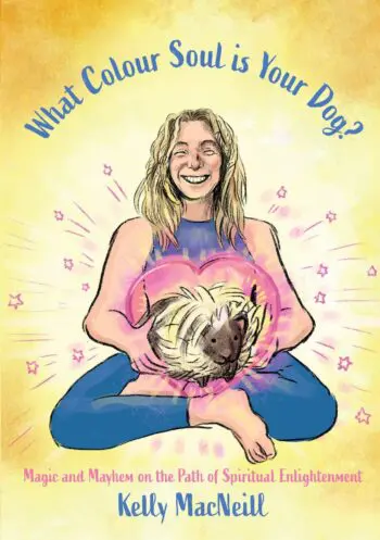 What Colour Soul is Your Dog?