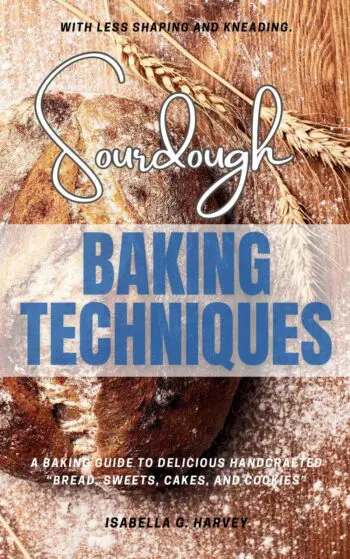 Sourdough Baking Techniques: