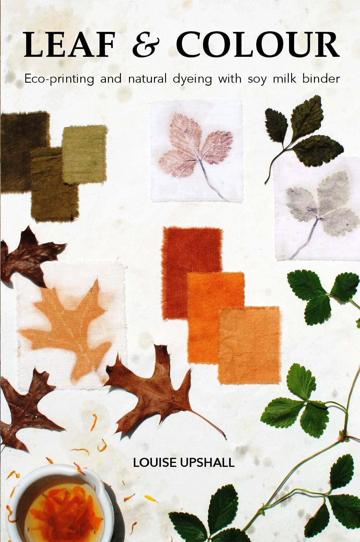 Leaf and Colour