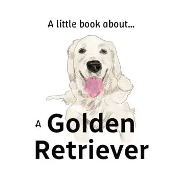 A little book about a Golden Retriever