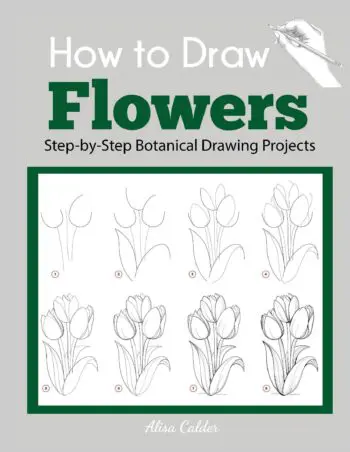 How to Draw Flowers: Step-by-Step Botanical Drawing Projects