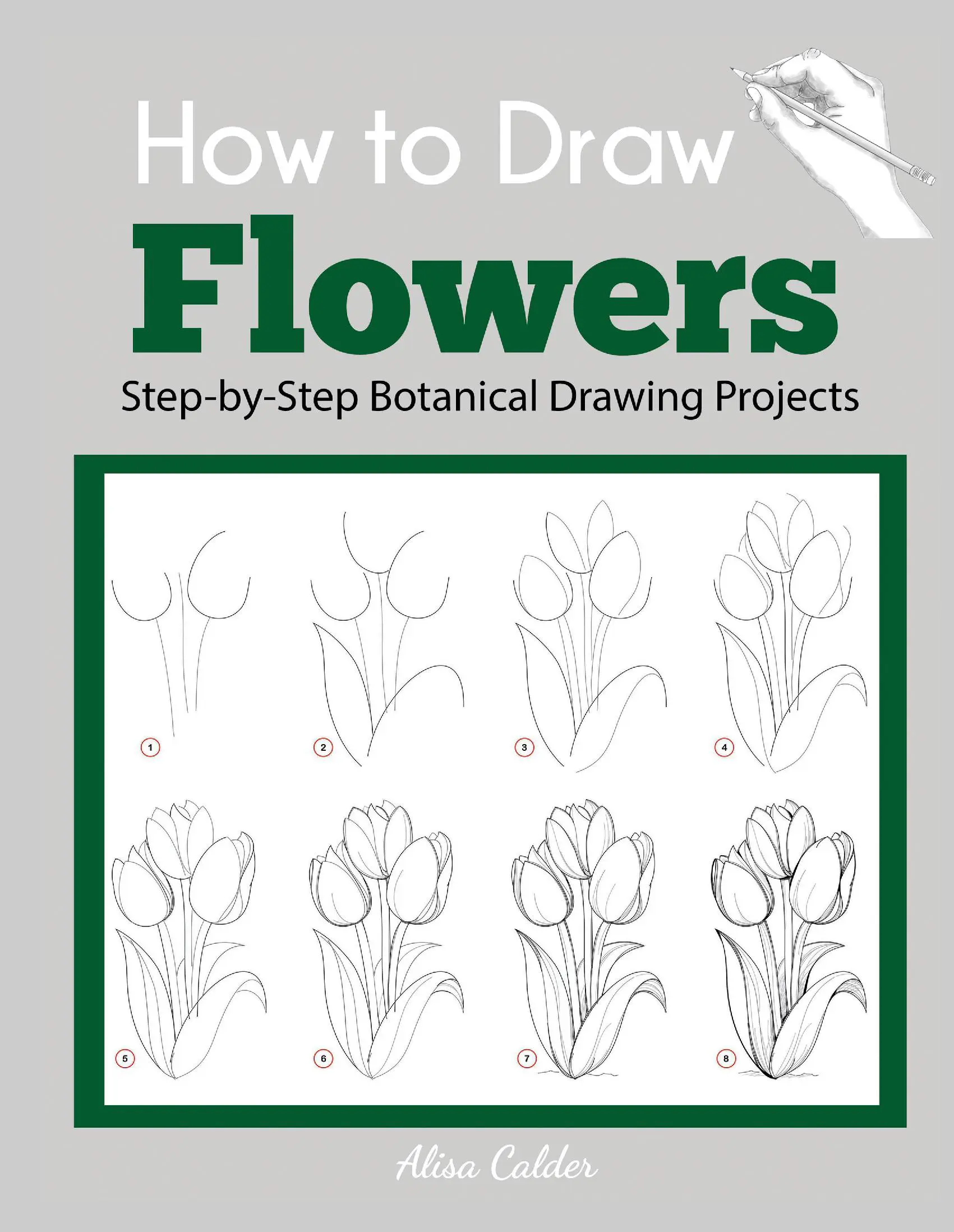 How to Draw Flowers: Step-by-Step Botanical Drawing Projects