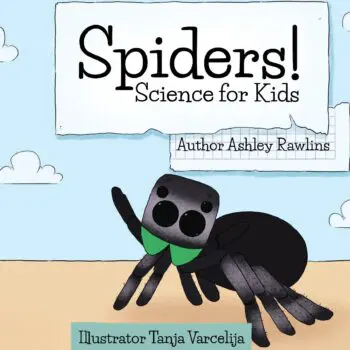 Spiders!