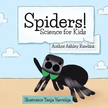 Spiders!