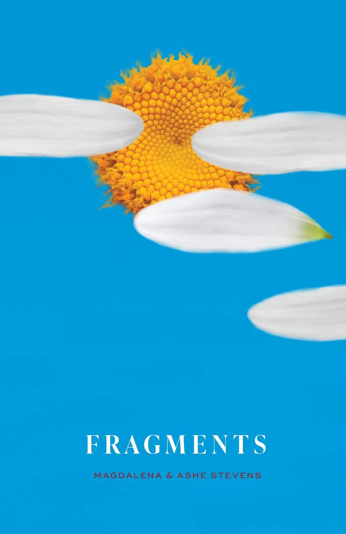 Fragments