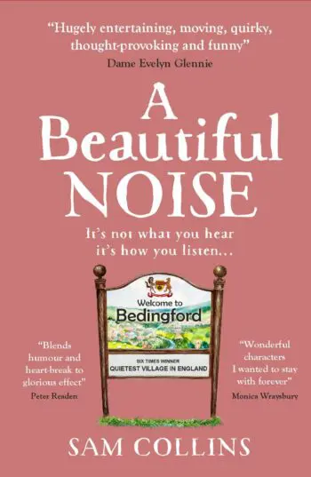 A Beautiful Noise