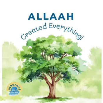 Allaah Created Everything!