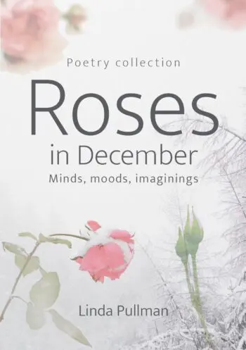 Roses in December