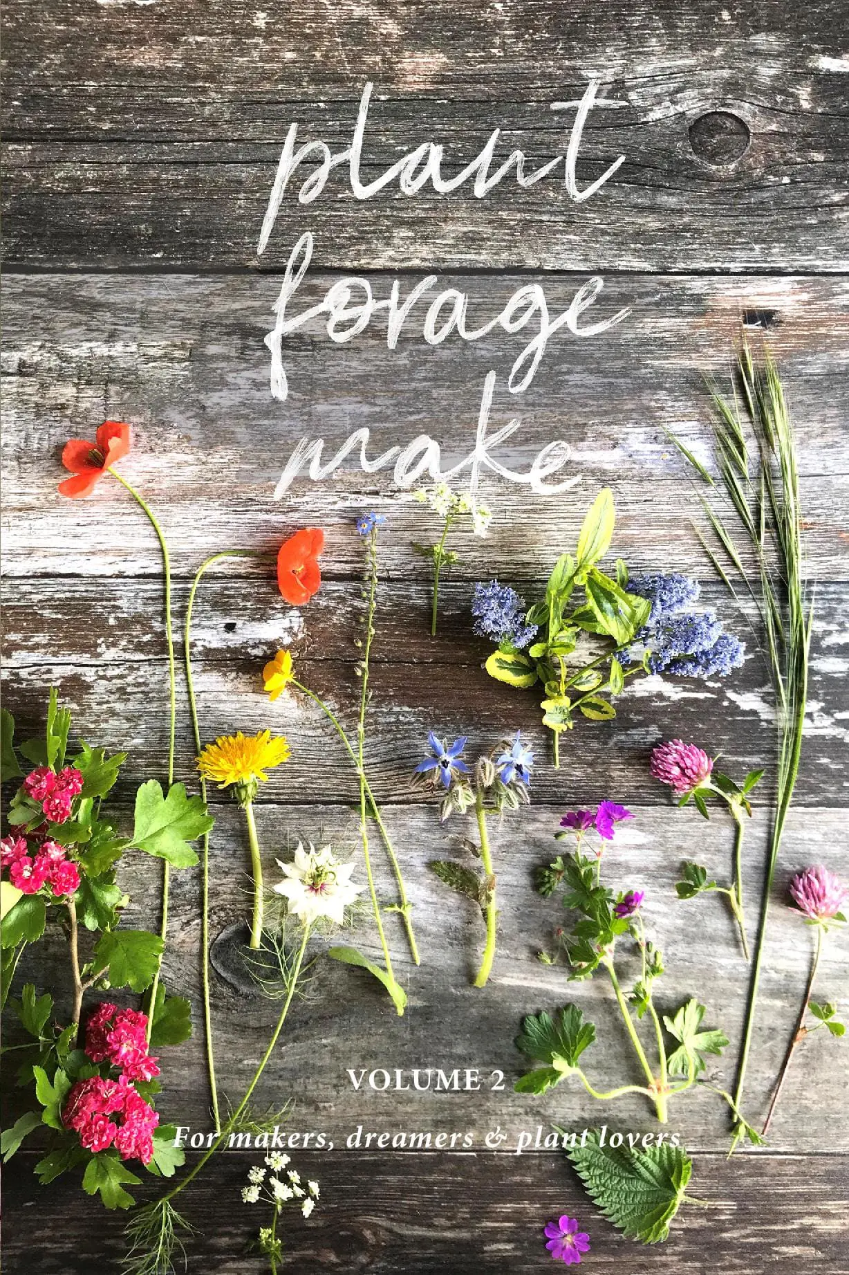 Plant Forage Make, Volume 2: Colour