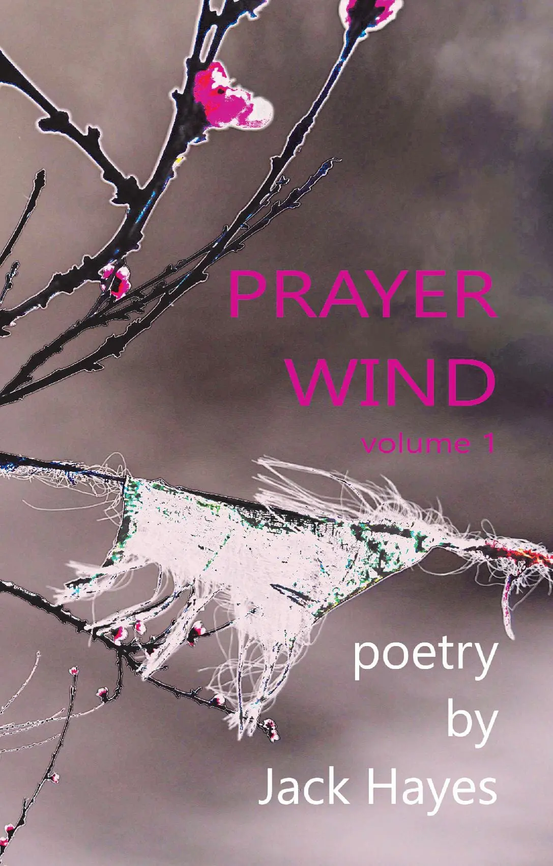 Prayer Wind volume 1