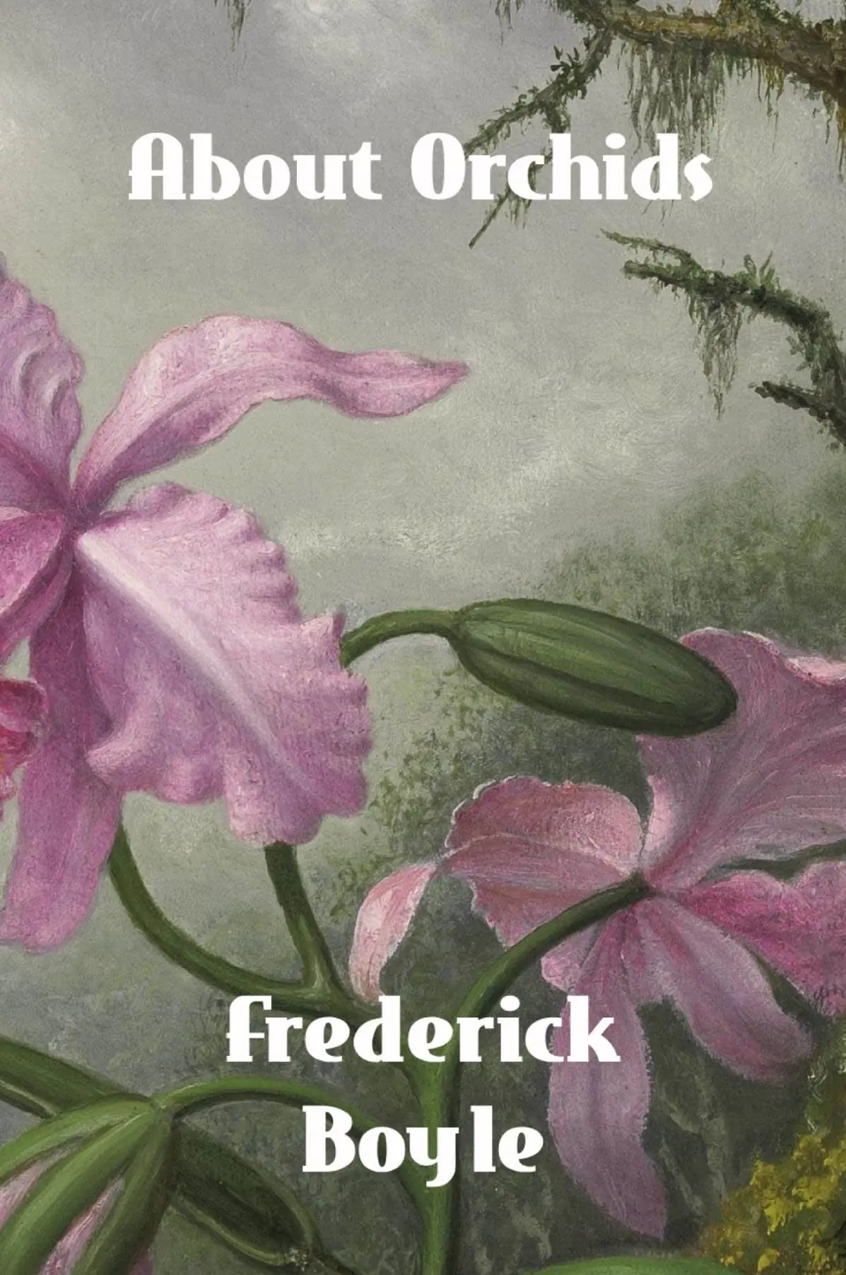 About Orchids