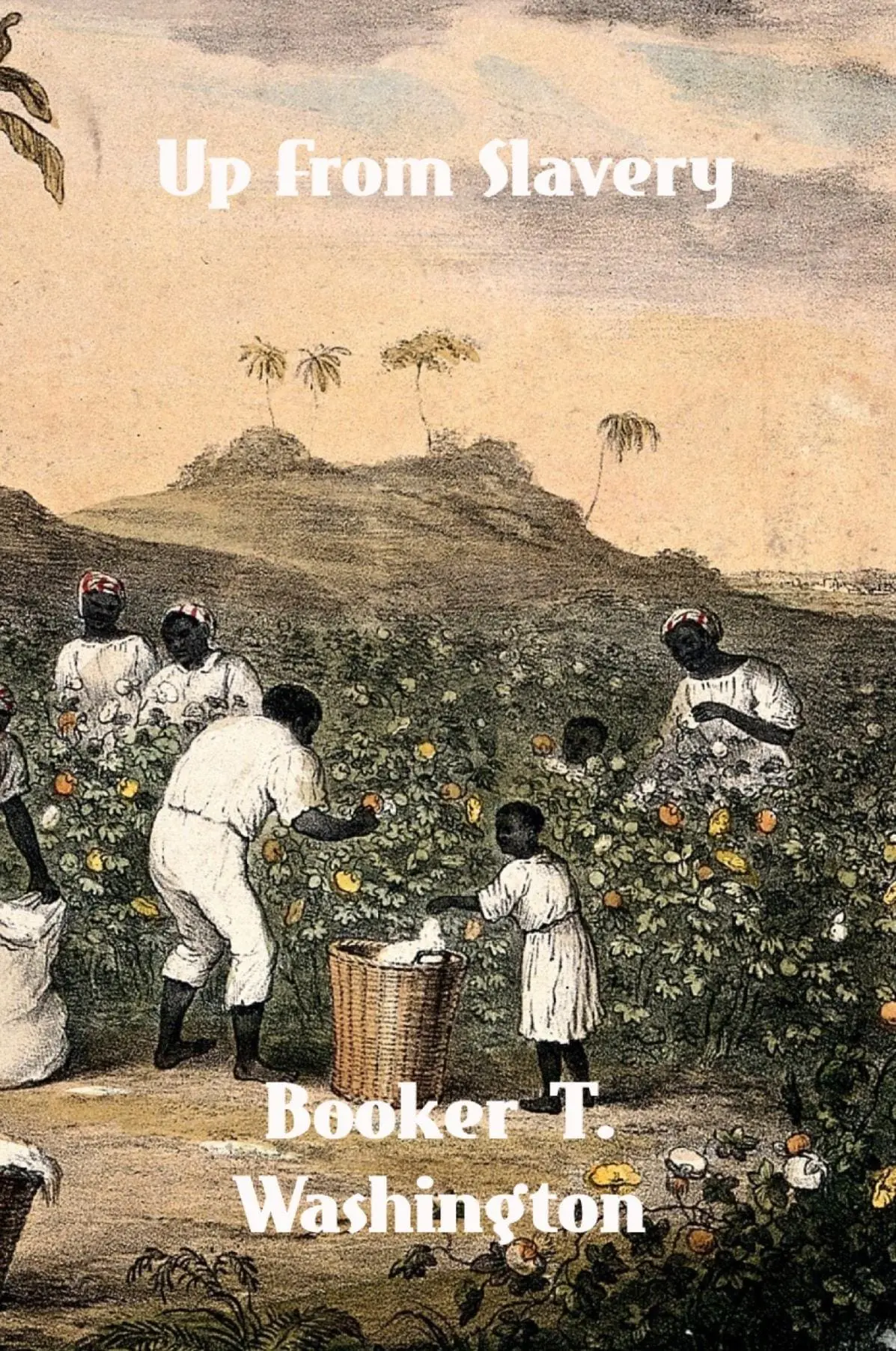 Up From Slavery