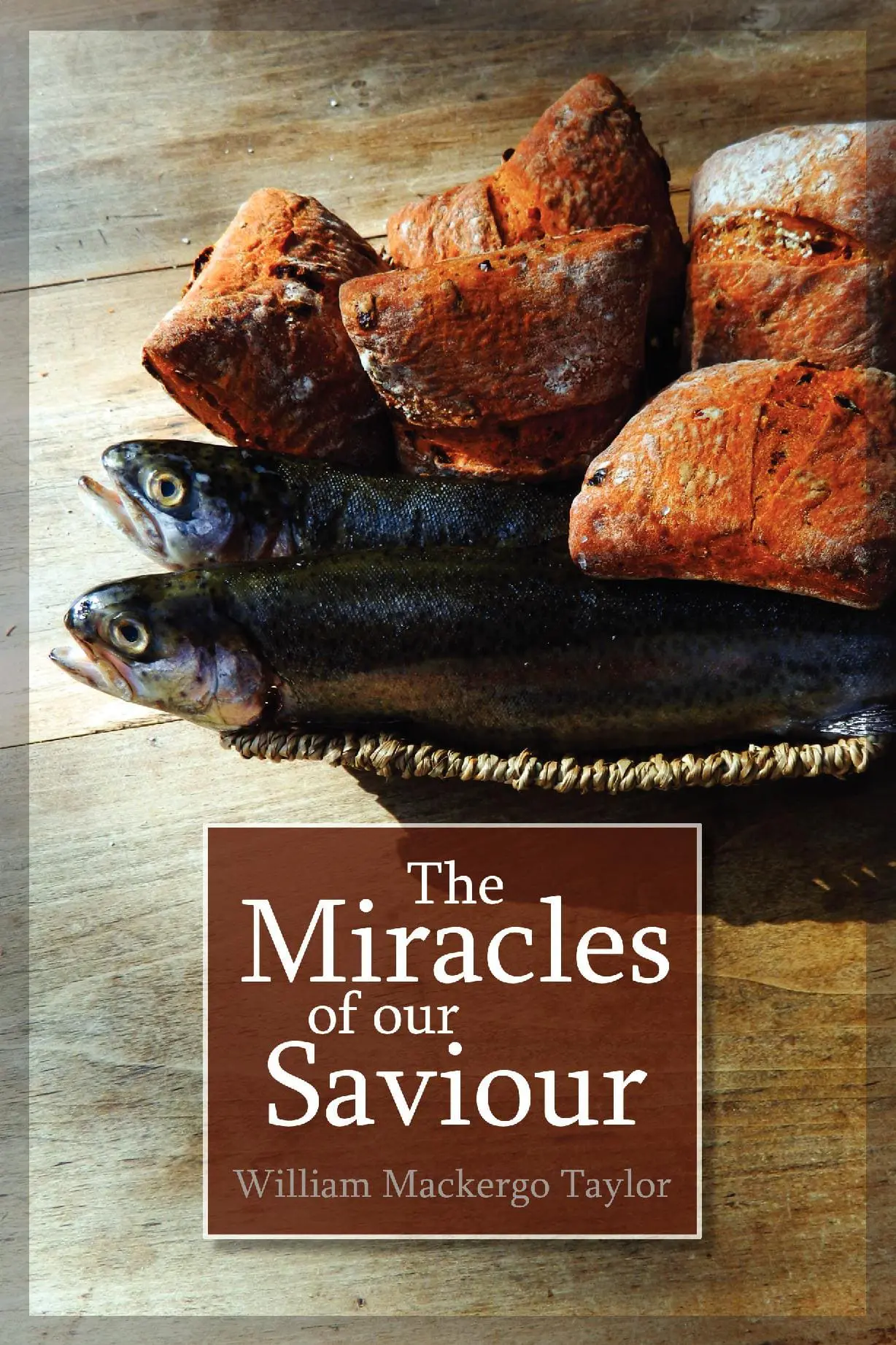 The Miracles of Our Saviour
