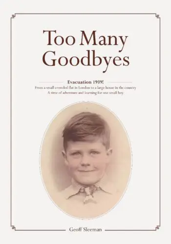 Too Many Goodbyes