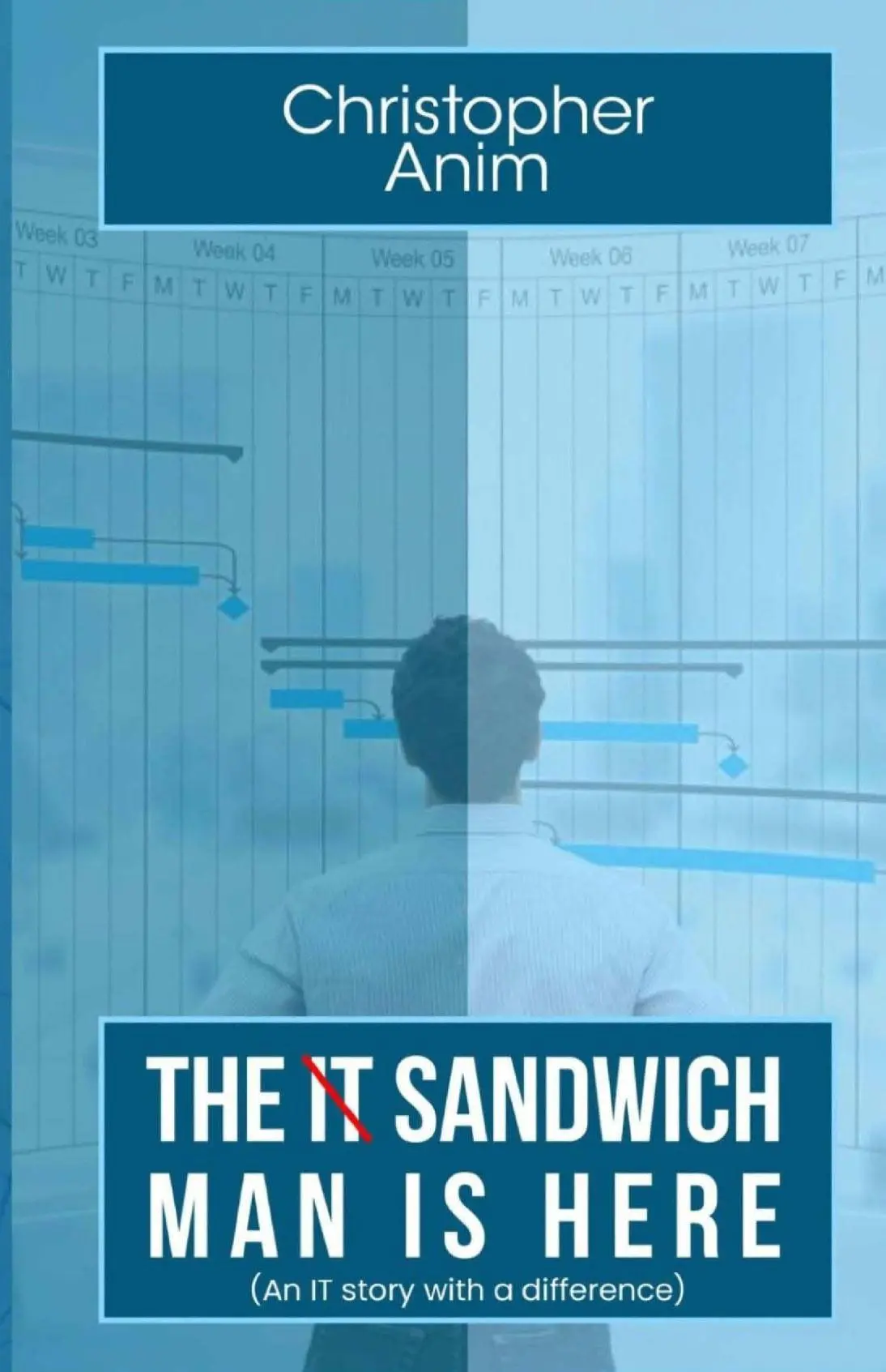 The IT Sandwich Man is Here