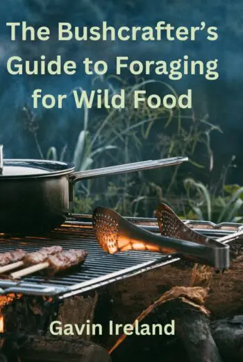 The Bushcrafter's Guide to Foraging for Wild Food
