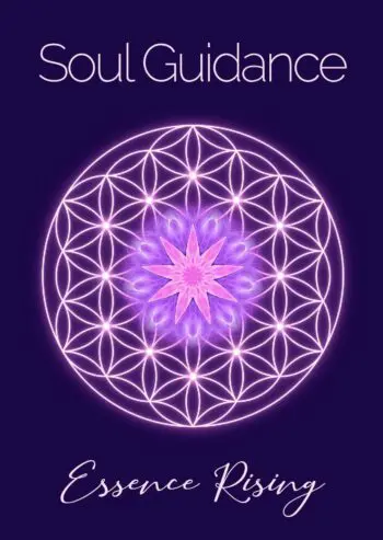 Soul Guidance