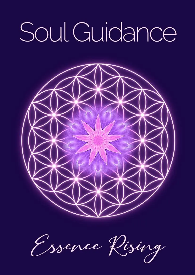 Soul Guidance