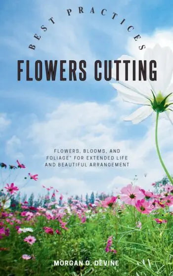 Flowers-Cutting Best Practices::