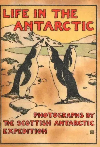 Life in The Antarctic