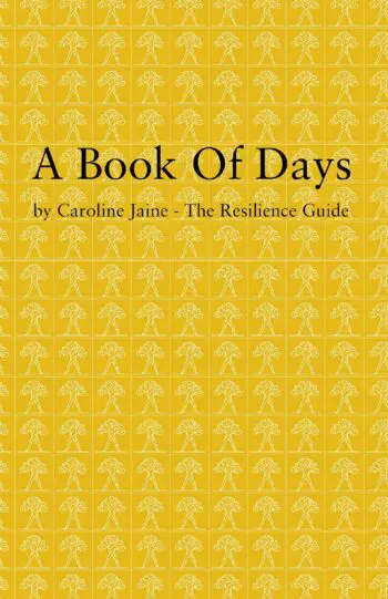 A Book Of Days