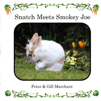 Snatch Meets Smokey Joe