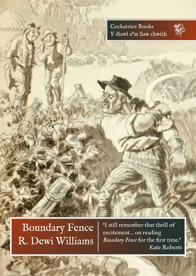 Boundary Fence