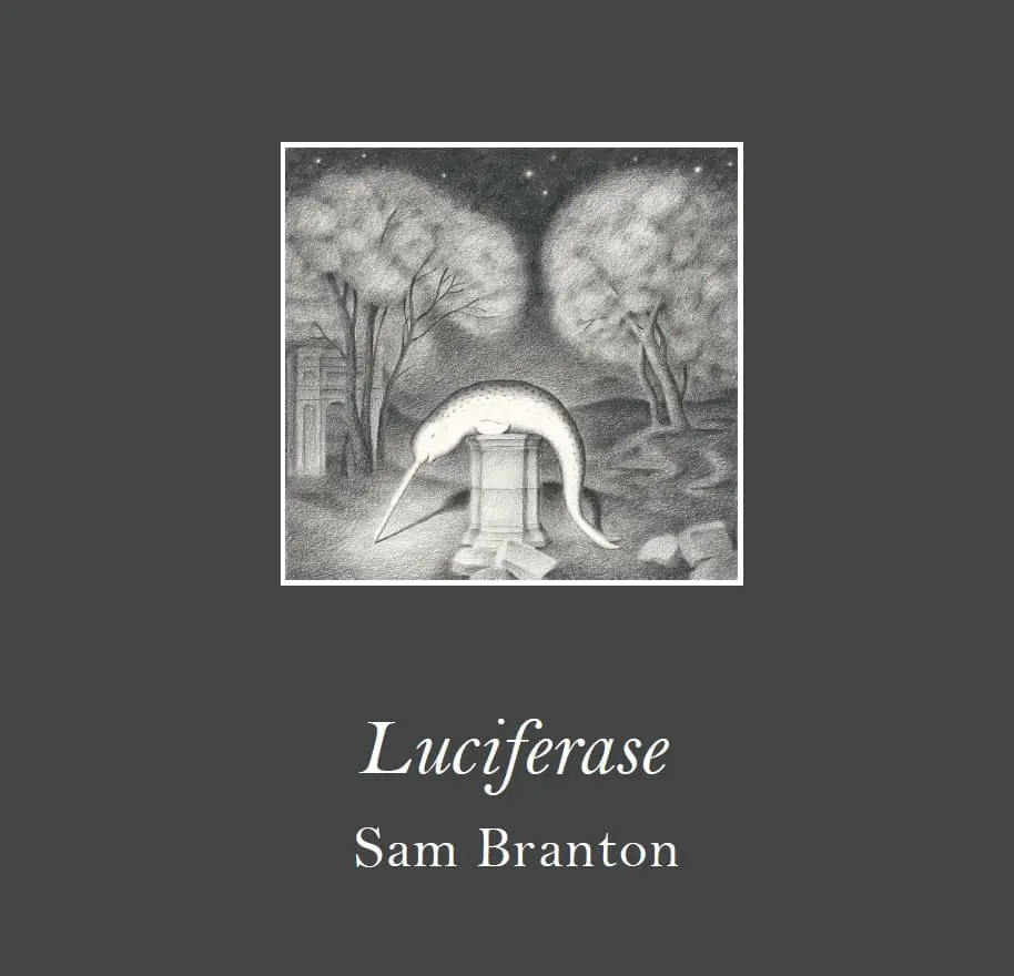 Luciferase