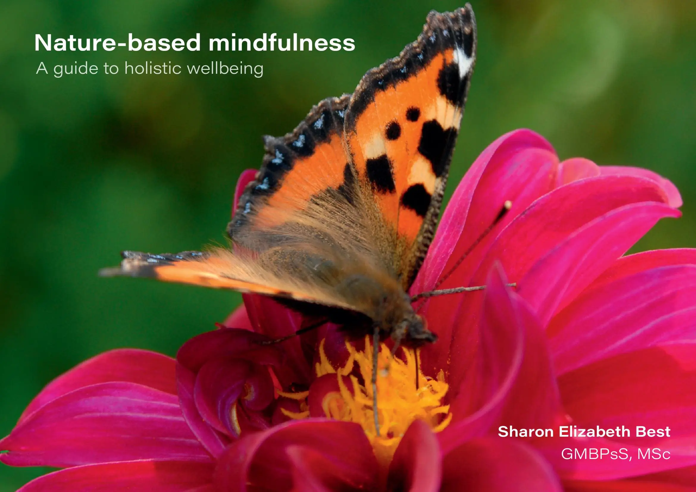 Nature-based mindfulness