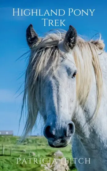 Highland Pony Trek