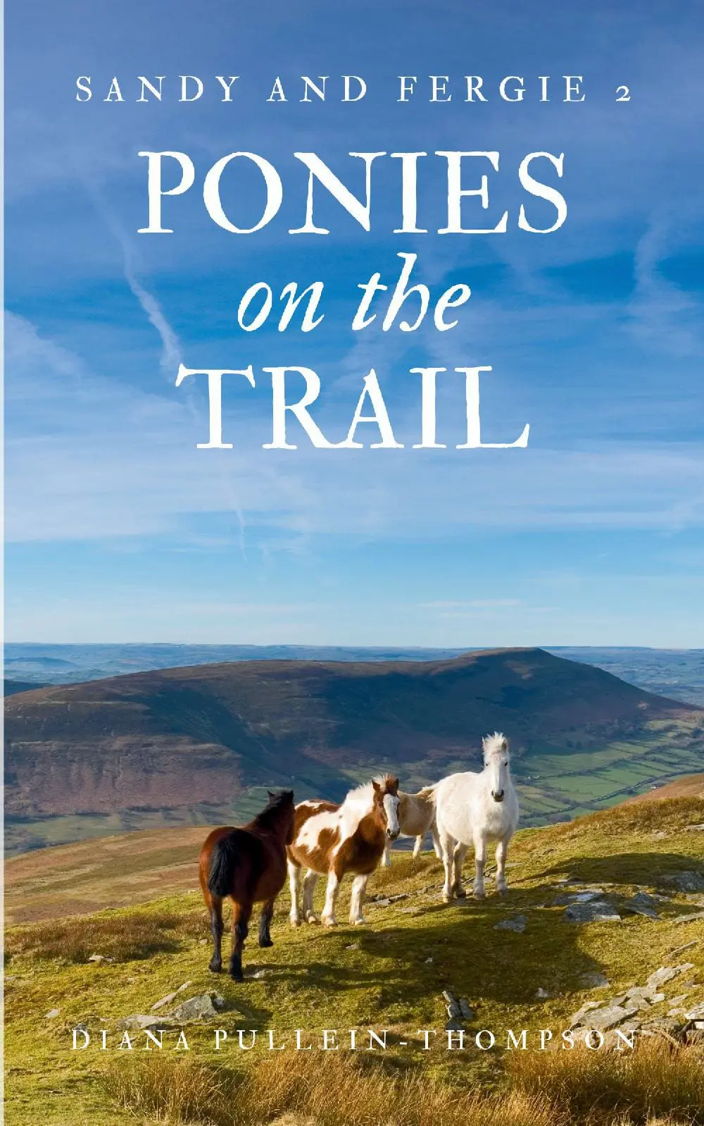 Ponies on the Trail