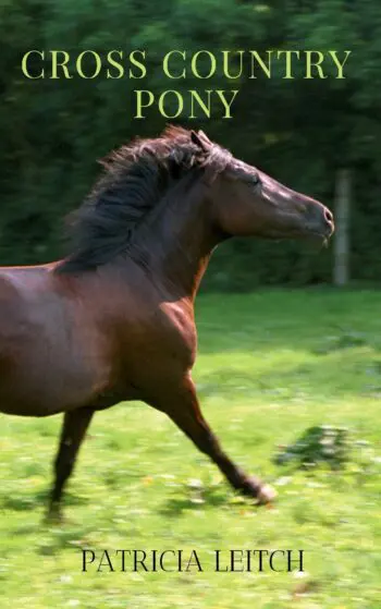 Cross Country Pony