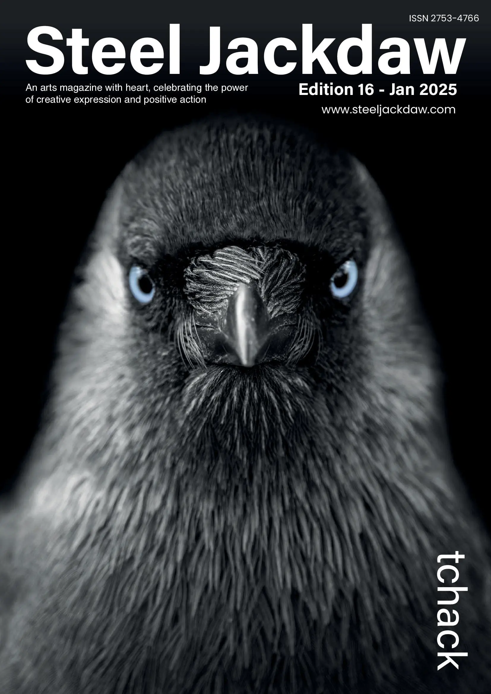 Steel Jackdaw Edition 16
