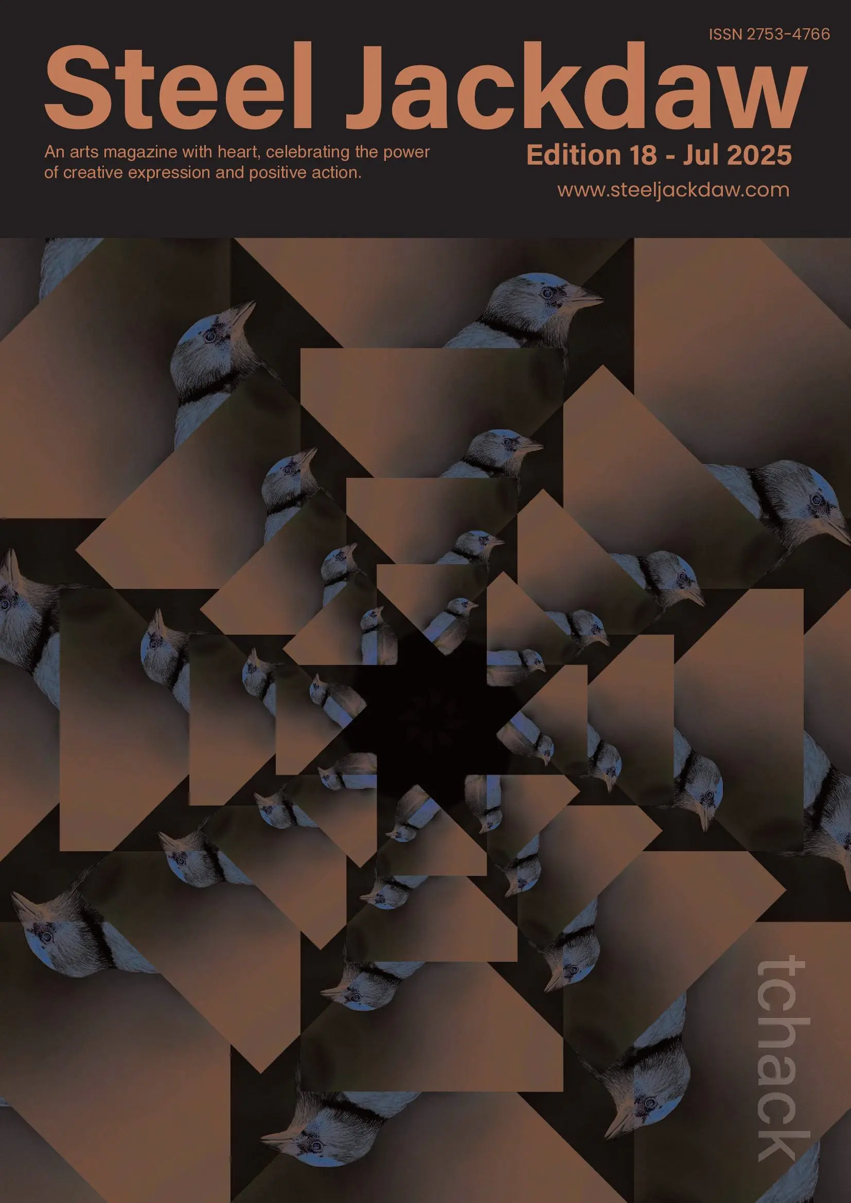 Steel Jackdaw Edition 18