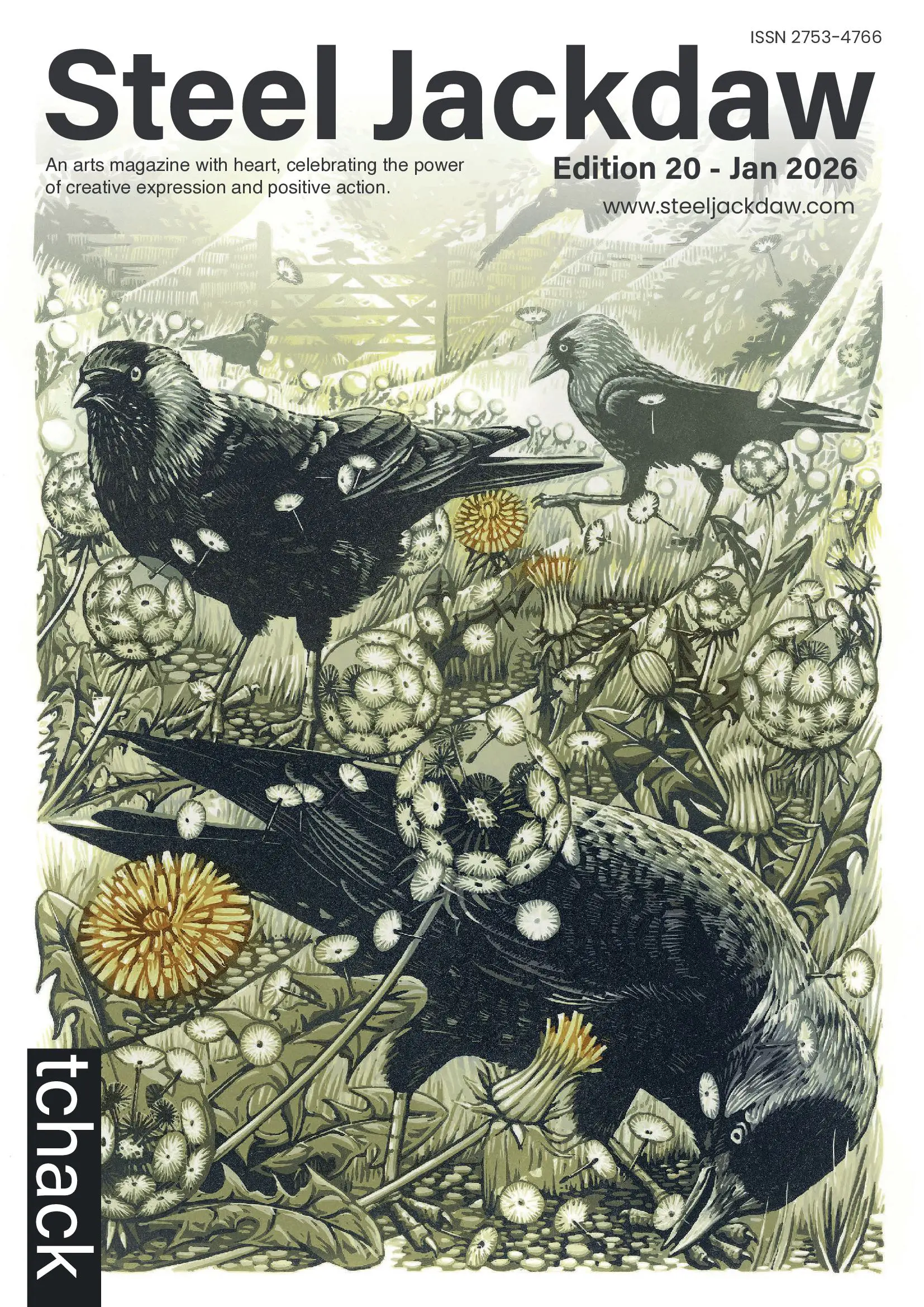 Steel Jackdaw Edition 20