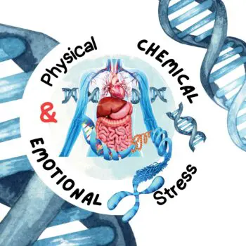 Physical Chemical & Emotional Stress